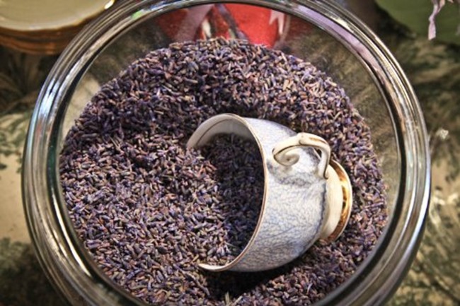 my favorite craft supplies - lavender